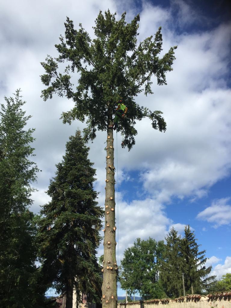 Démontage réalisé sur la commune de la Tour